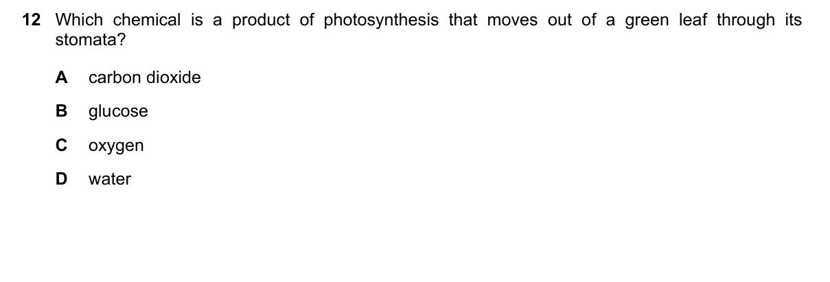 Question 12, June 2022, 0610 Paper 11