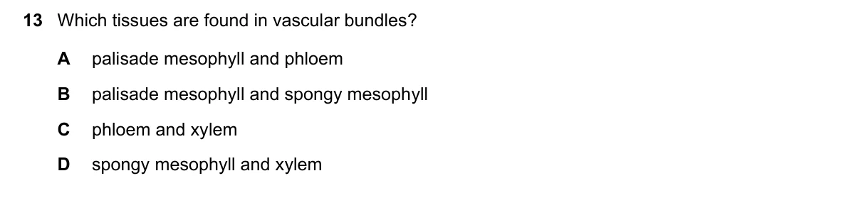 Question 13, June 2022, 0610 Paper 11