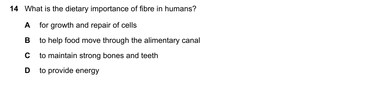 Question 14, June 2022, 0610 Paper 11