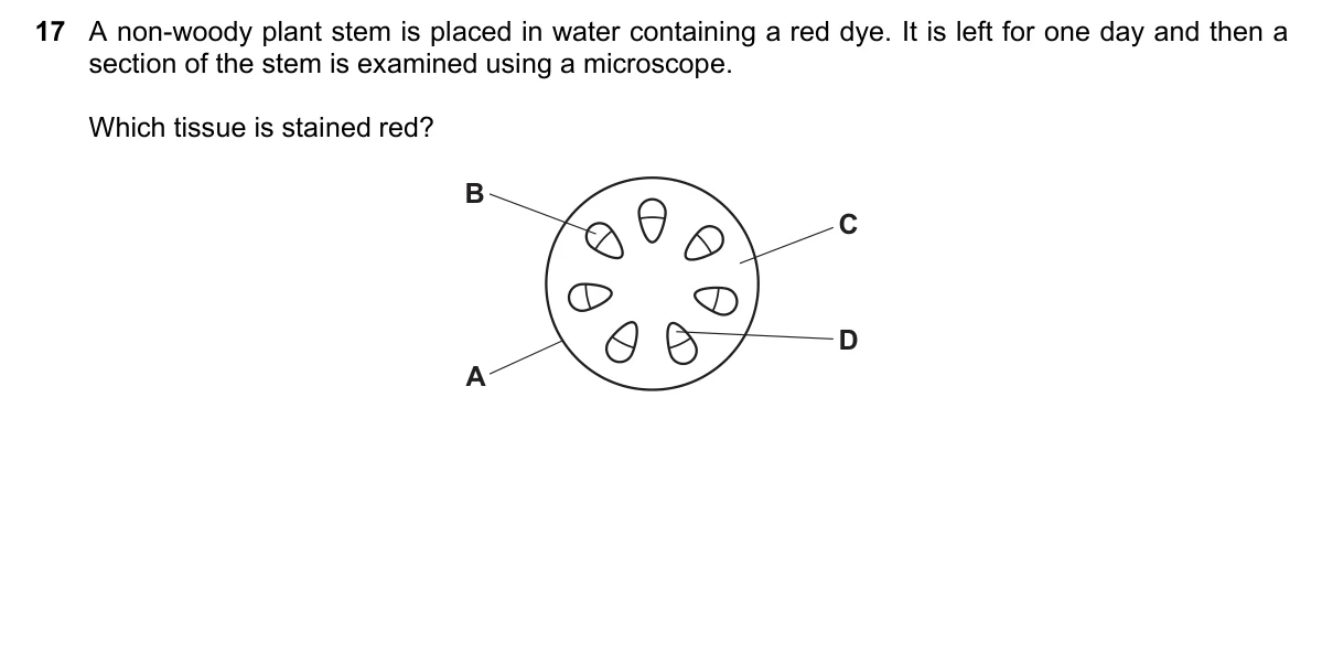 Question 17, June 2022, 0610 Paper 11