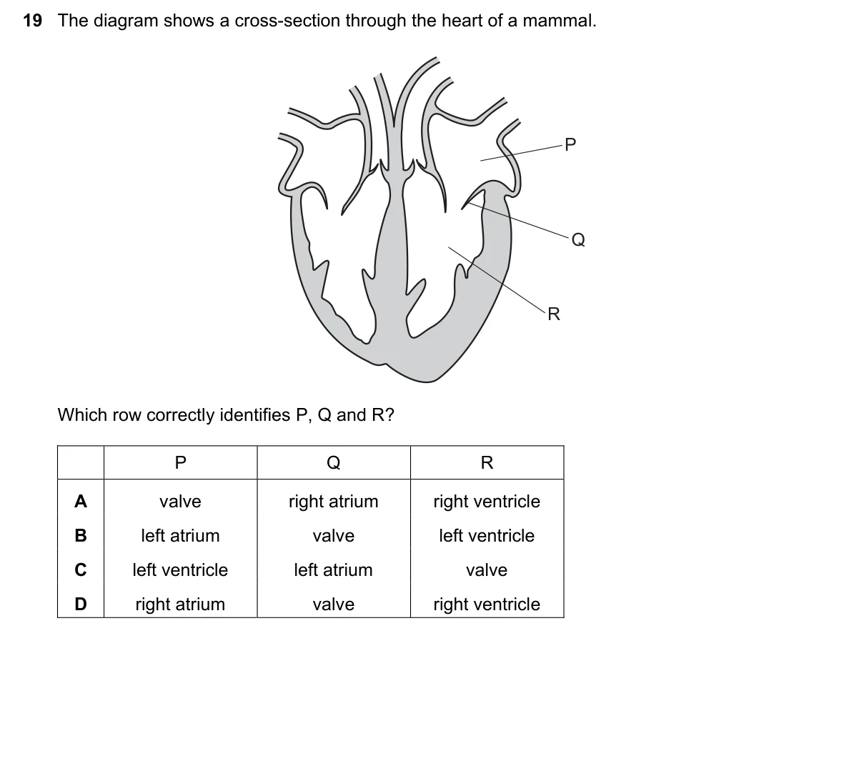Question 19, June 2022, 0610 Paper 11