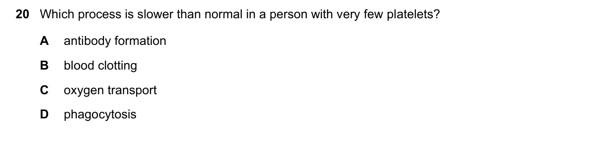 Question 20, June 2022, 0610 Paper 11
