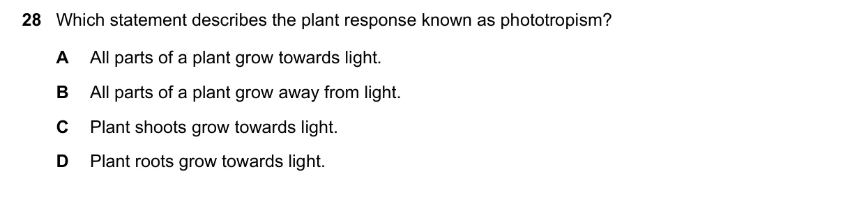 Question 28, June 2022, 0610 Paper 11