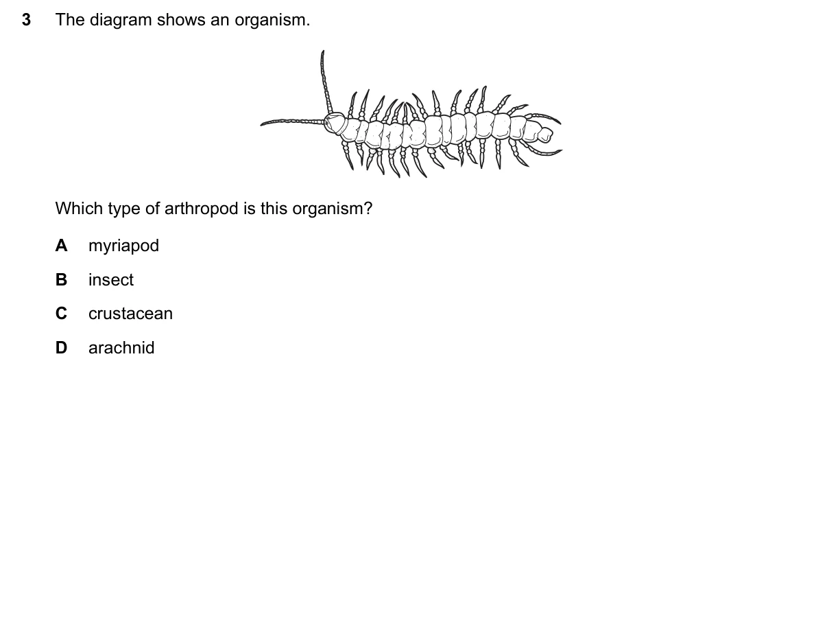 Question 3, June 2022, 0610 Paper 11