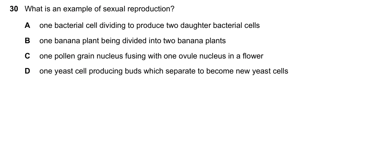 Question 30, June 2022, 0610 Paper 11