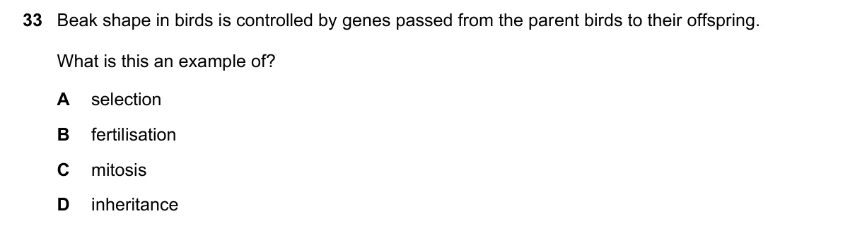 Question 33, June 2022, 0610 Paper 11