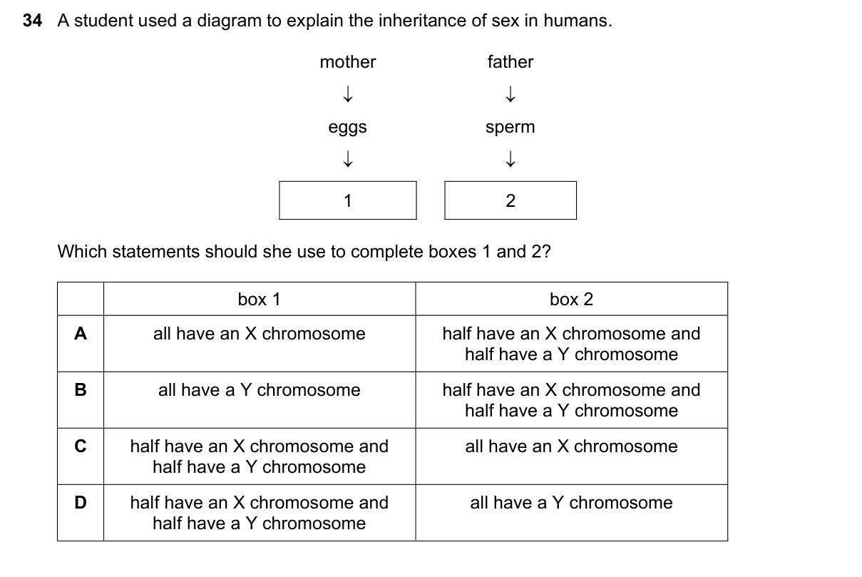 Question 34, June 2022, 0610 Paper 11