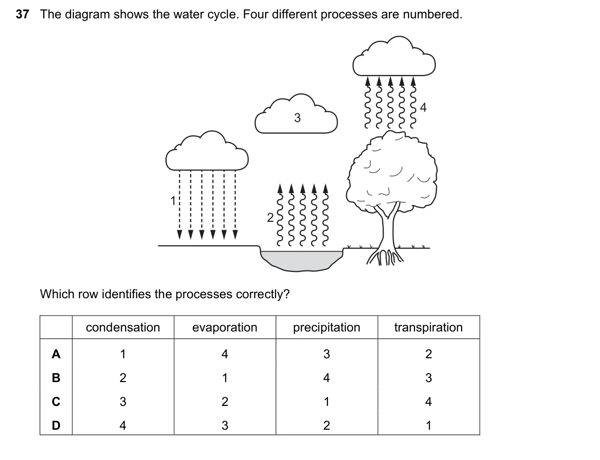 Question 37, June 2022, 0610 Paper 11