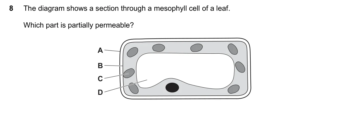 Question 8, June 2022, 0610 Paper 11