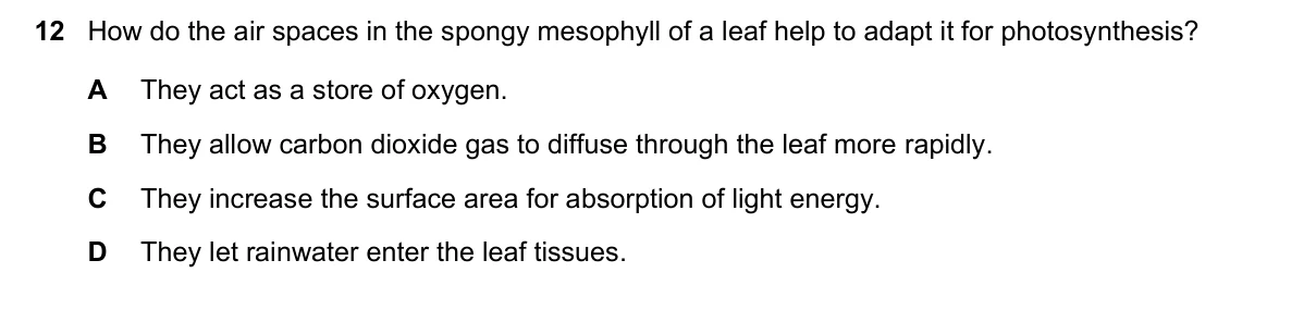 Question 12, June 2022, 0610 Paper 21