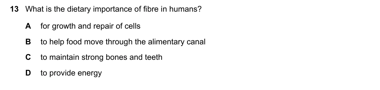 Question 13, June 2022, 0610 Paper 21