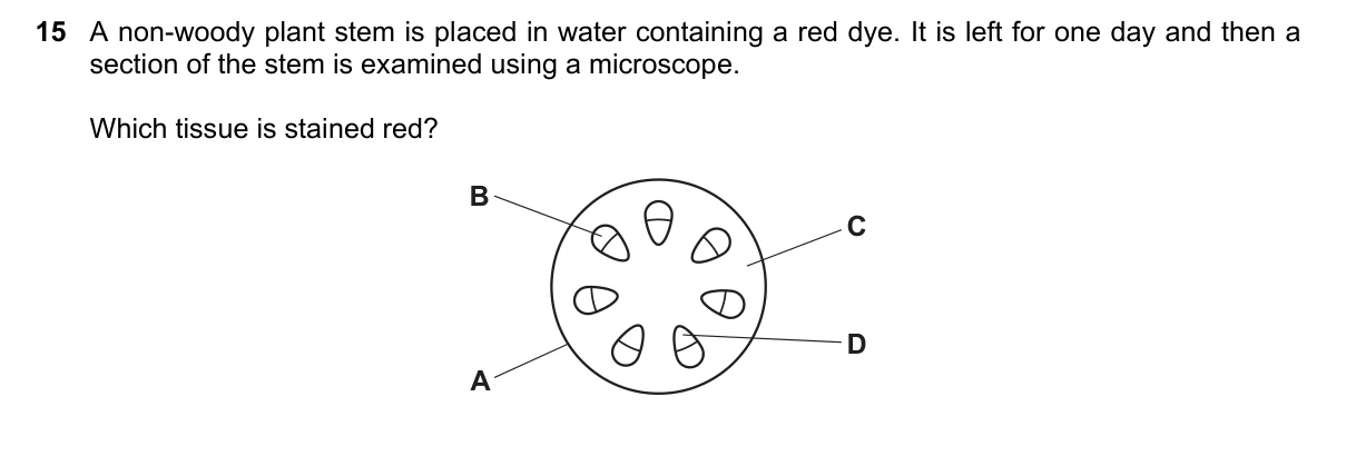 Question 15, June 2022, 0610 Paper 21