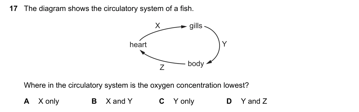 Question 17, June 2022, 0610 Paper 21