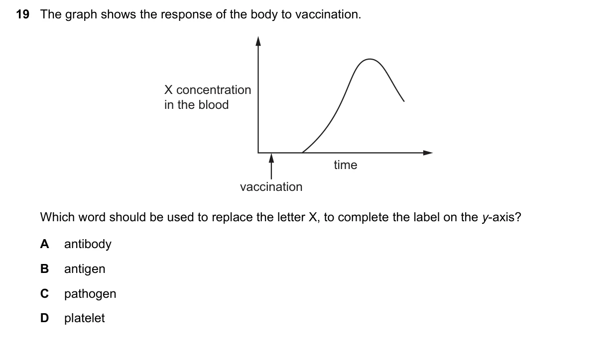 Question 19, June 2022, 0610 Paper 21
