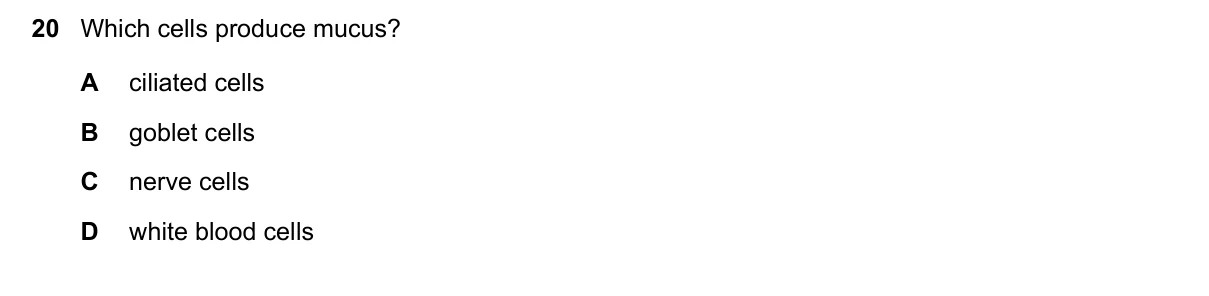 Question 20, June 2022, 0610 Paper 21