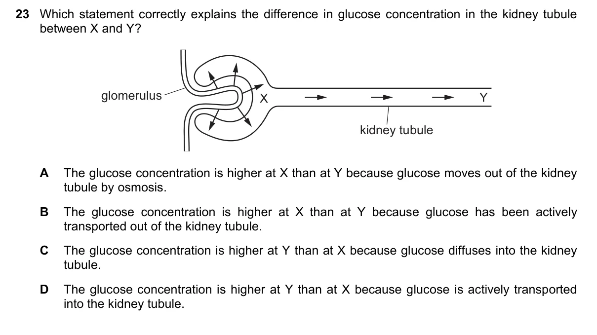 Question 23, June 2022, 0610 Paper 21