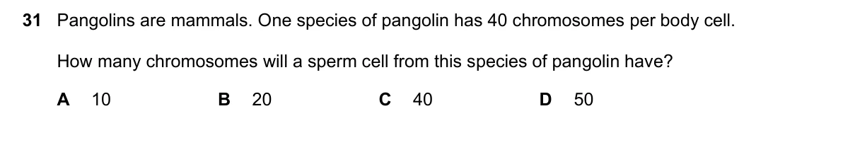 Question 31, June 2022, 0610 Paper 21