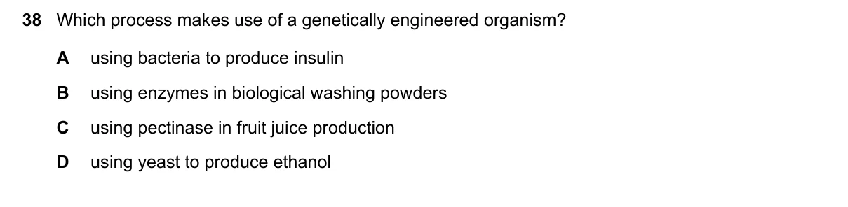 Question 38, June 2022, 0610 Paper 21