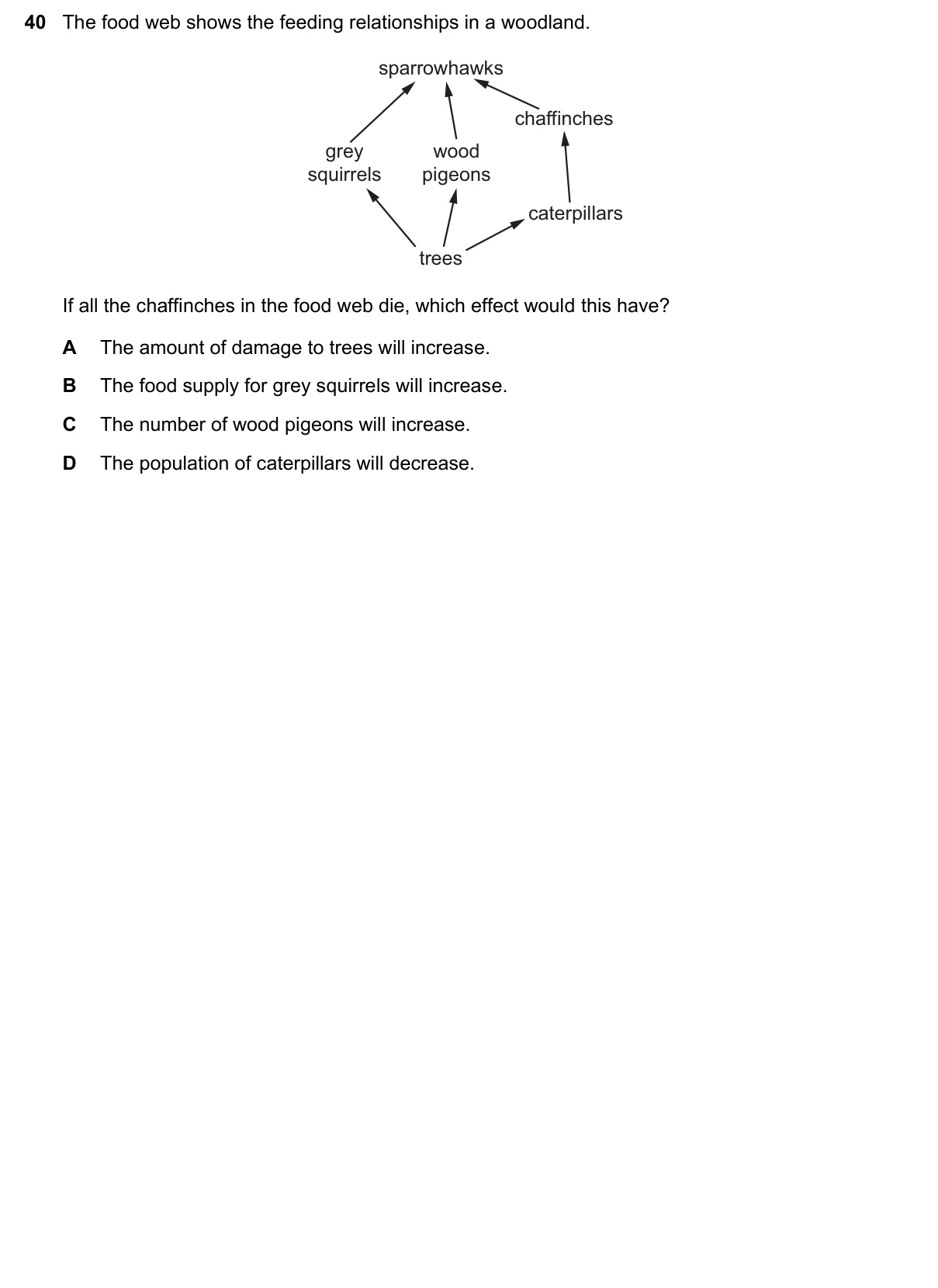 Question 40, June 2022, 0610 Paper 21