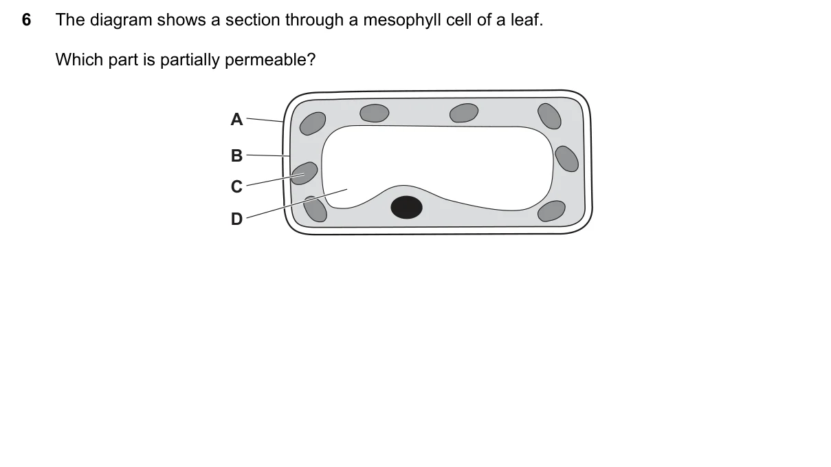 Question 6, June 2022, 0610 Paper 21