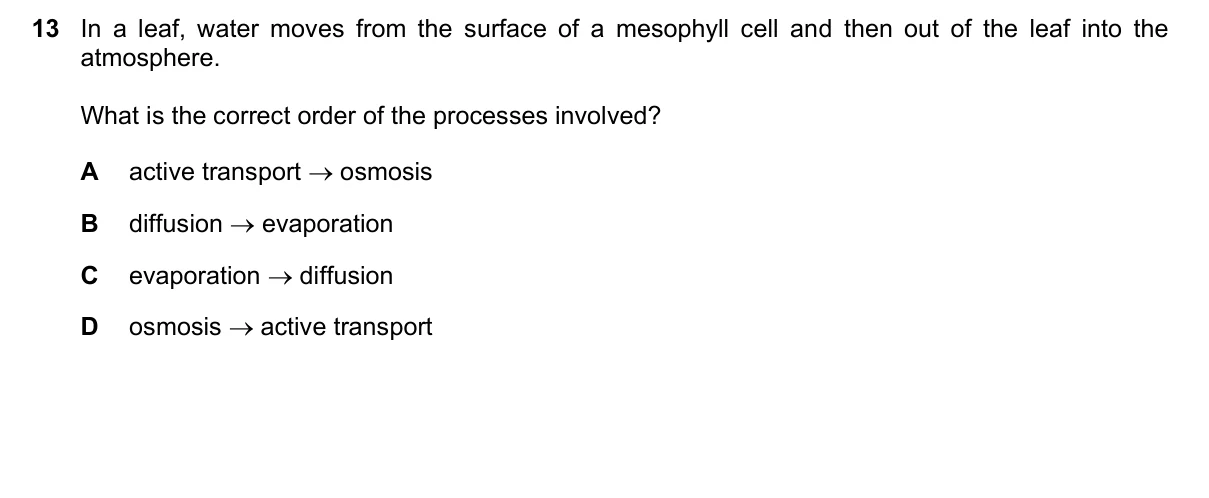 Question 13, June 2022, 0610 Paper 12