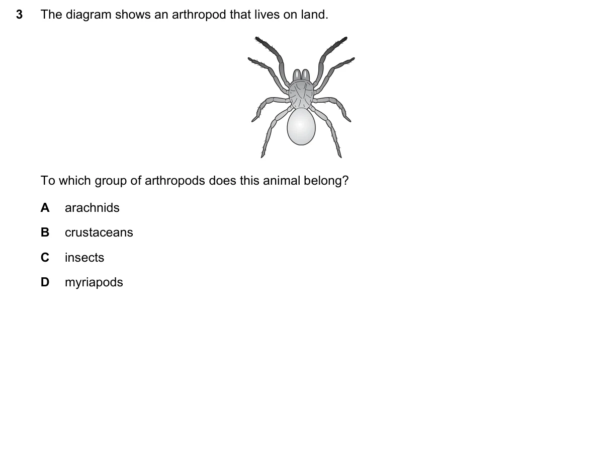 Question 3, June 2022, 0610 Paper 12