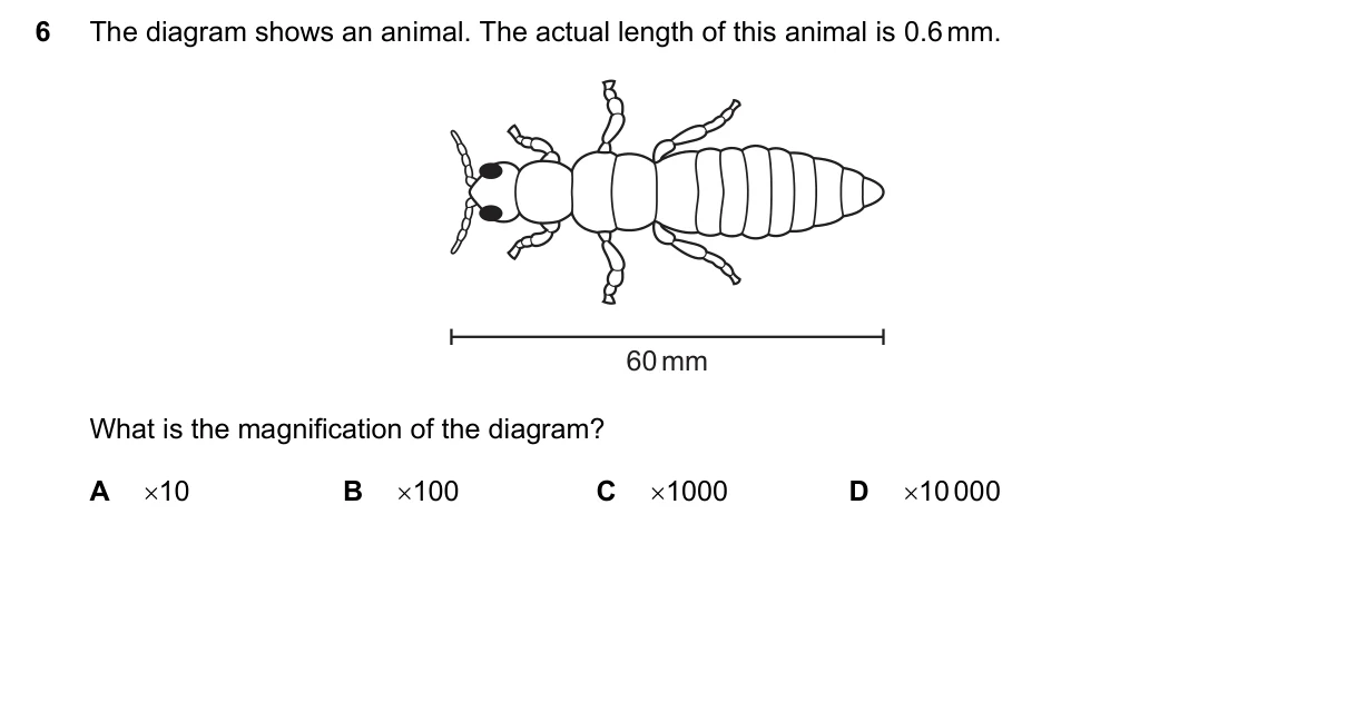 Question 6, June 2022, 0610 Paper 12