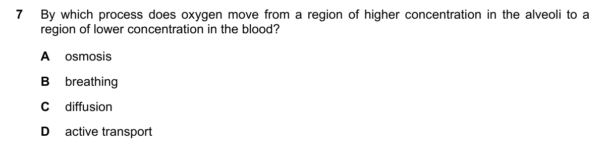 Question 7, June 2022, 0610 Paper 12