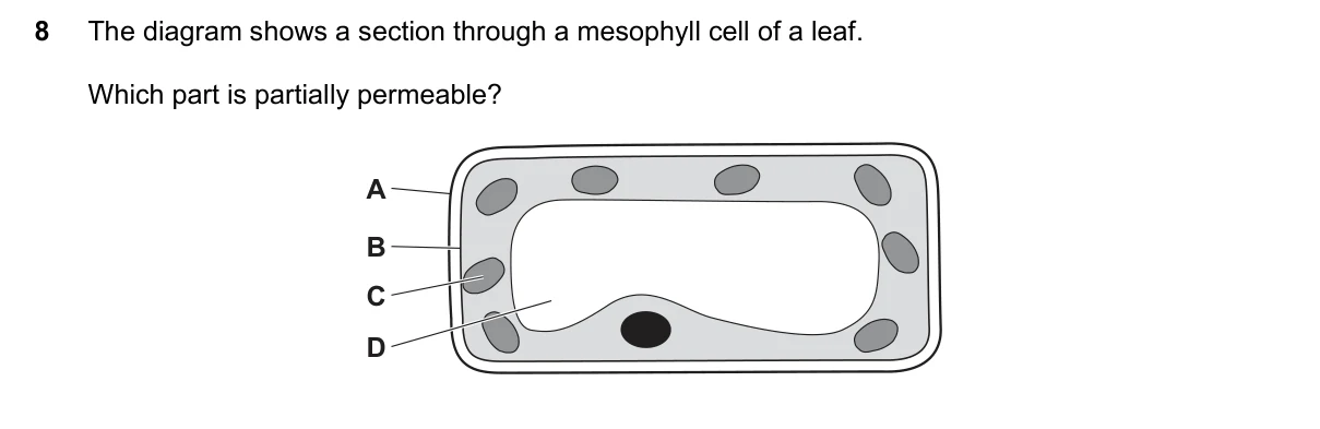 Question 8, June 2022, 0610 Paper 12