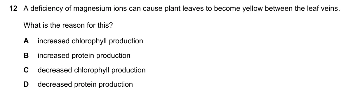 Question 12, June 2022, 0610 Paper 22