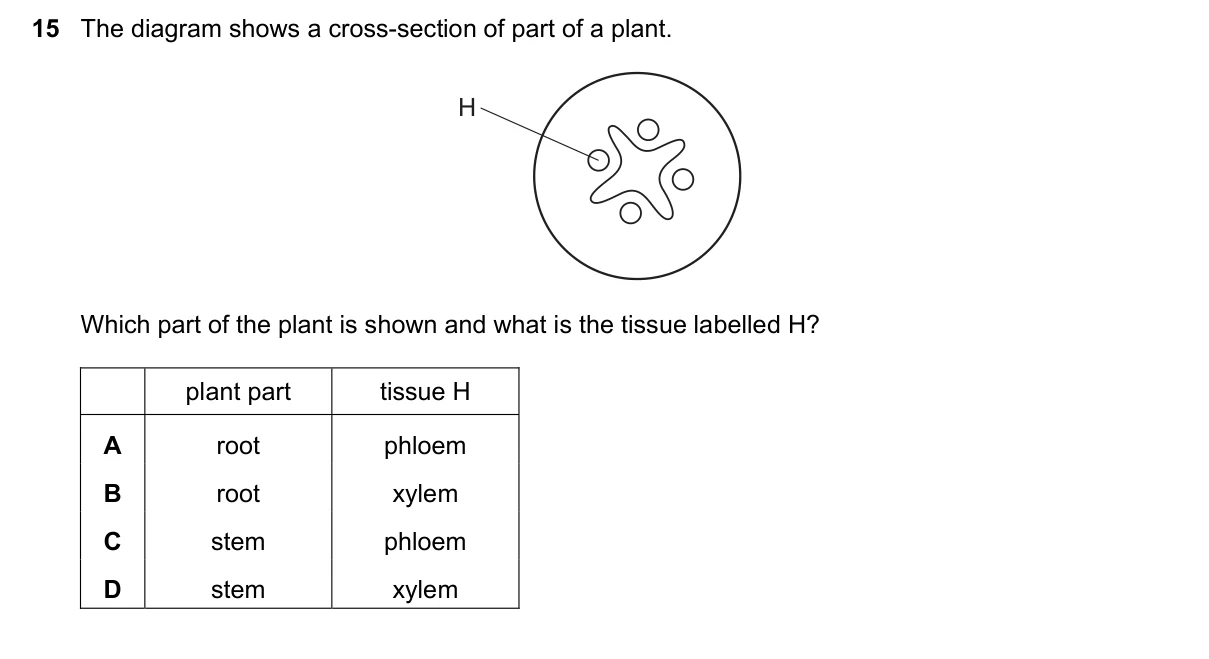 Question 15, June 2022, 0610 Paper 22