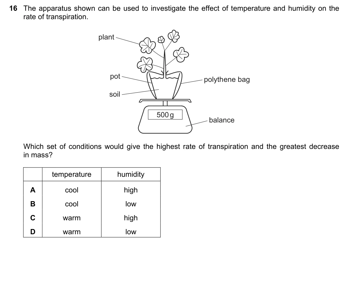 Question 16, June 2022, 0610 Paper 22