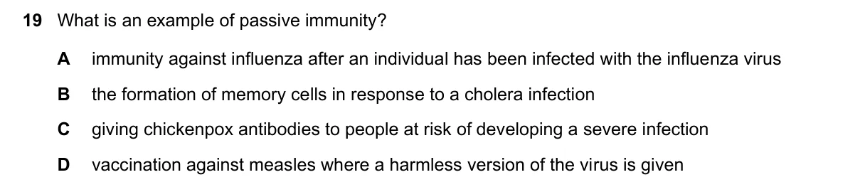 Question 19, June 2022, 0610 Paper 22