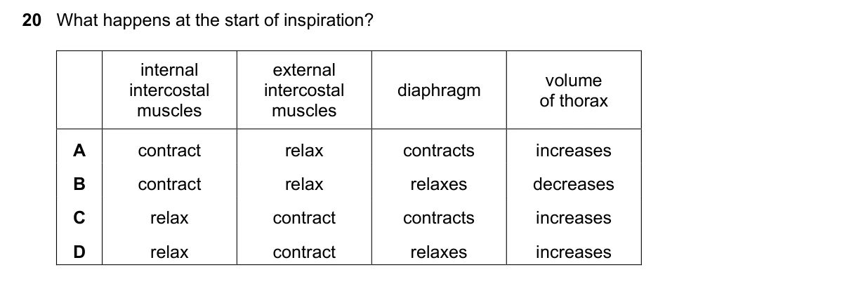 Question 20, June 2022, 0610 Paper 22
