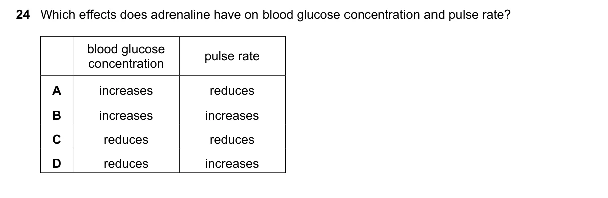 Question 24, June 2022, 0610 Paper 22