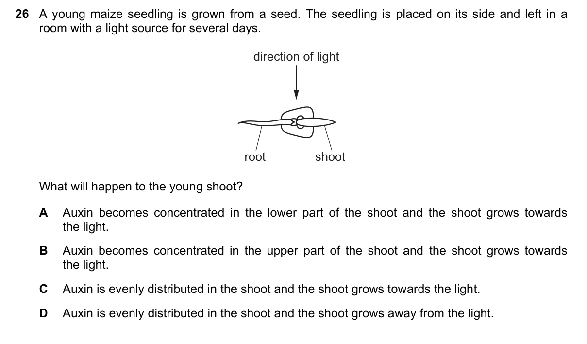 Question 26, June 2022, 0610 Paper 22