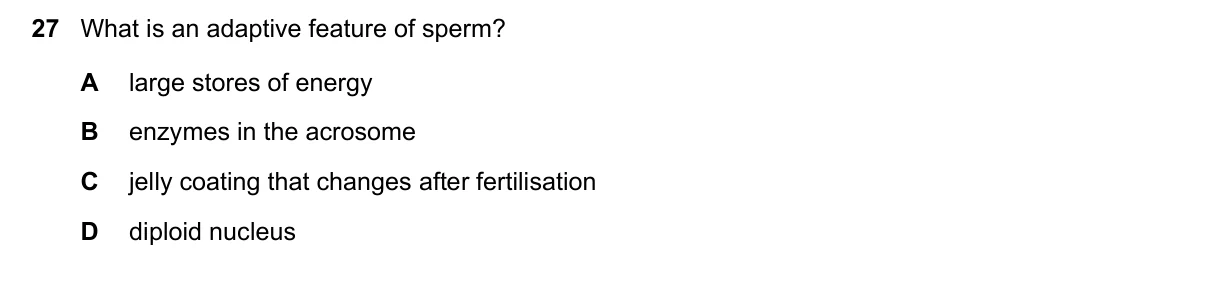 Question 27, June 2022, 0610 Paper 22
