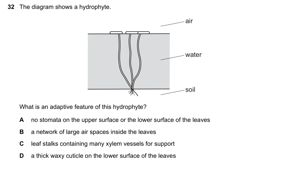 Question 32, June 2022, 0610 Paper 22