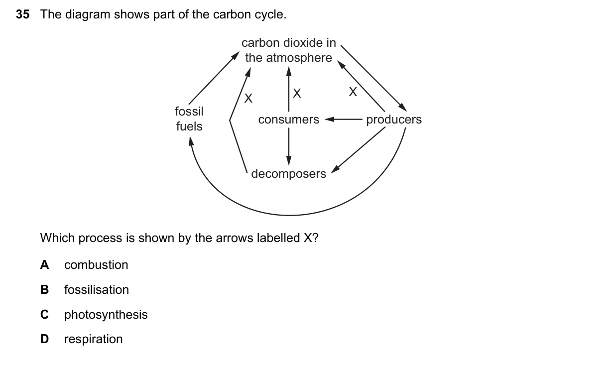 Question 35, June 2022, 0610 Paper 22