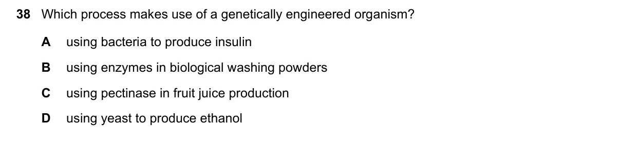 Question 38, June 2022, 0610 Paper 22