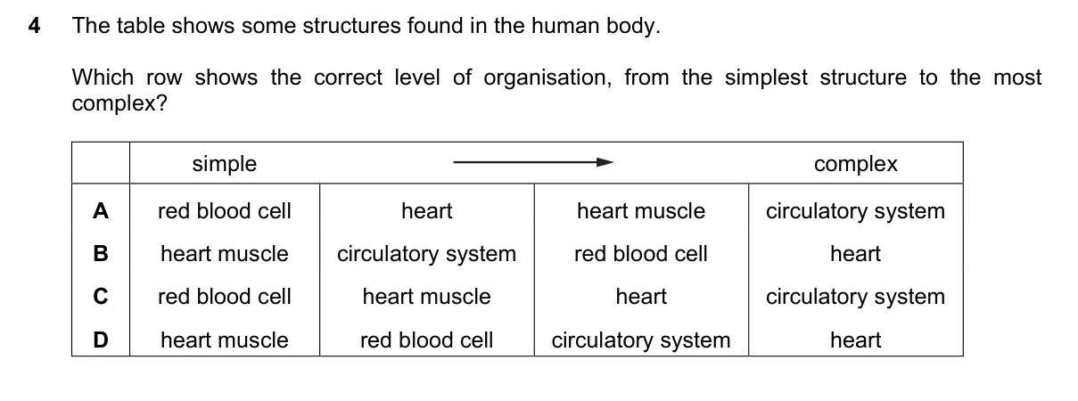 Question 4, June 2022, 0610 Paper 22