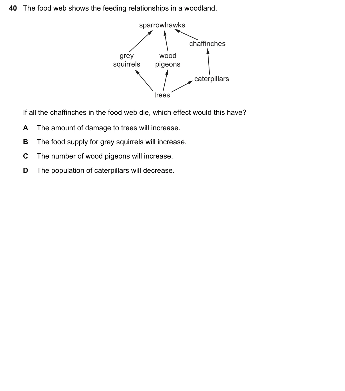 Question 40, June 2022, 0610 Paper 22