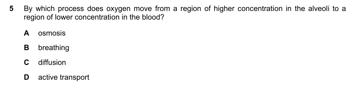Question 5, June 2022, 0610 Paper 22