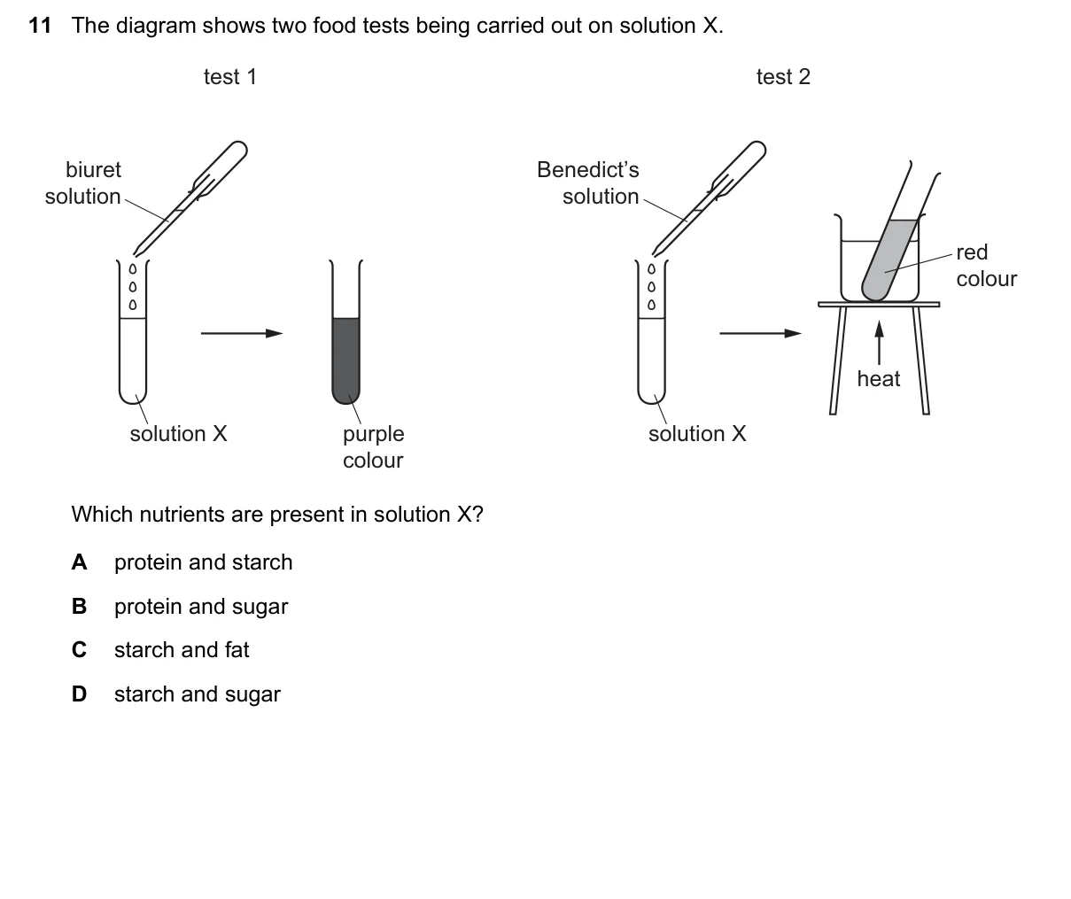 Question 11, June 2022, 0610 Paper 13