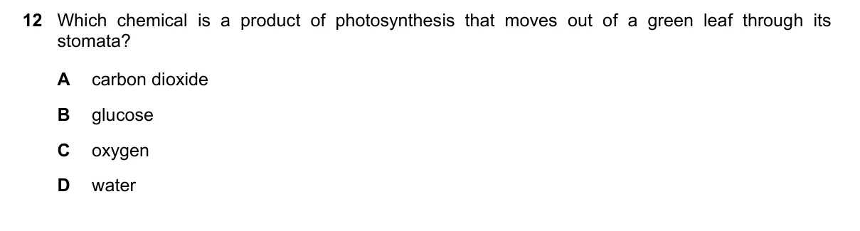 Question 12, June 2022, 0610 Paper 13