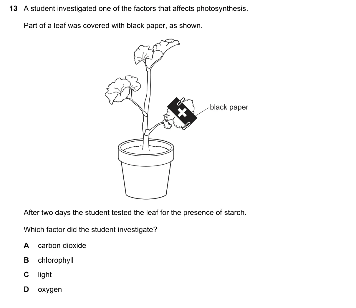Question 13, June 2022, 0610 Paper 13