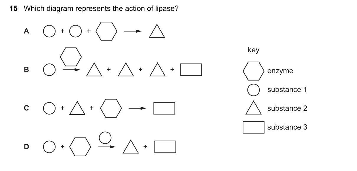 Question 15, June 2022, 0610 Paper 13