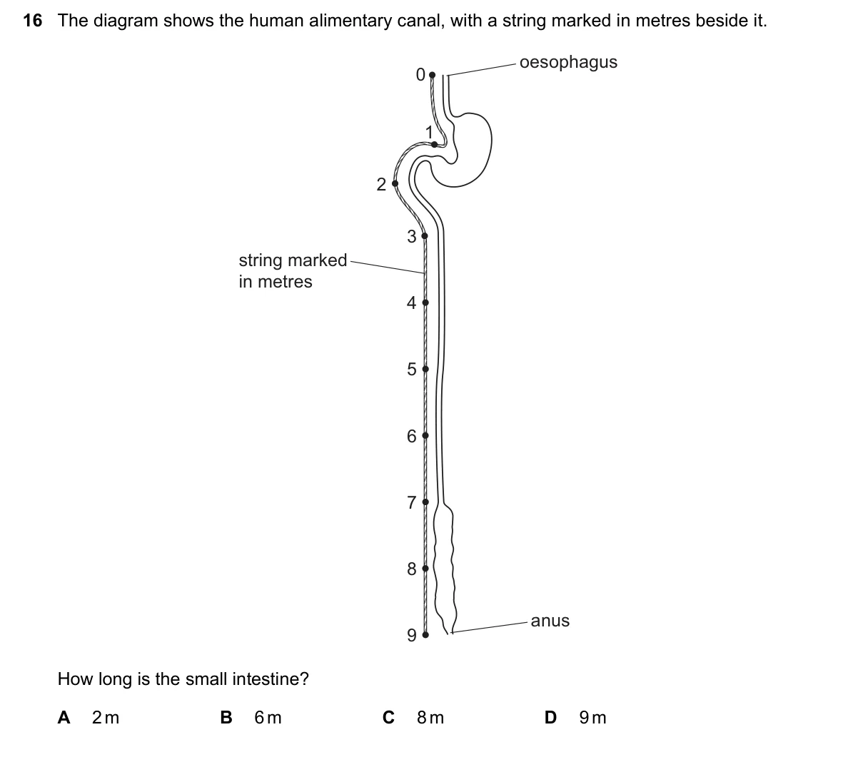 Question 16, June 2022, 0610 Paper 13