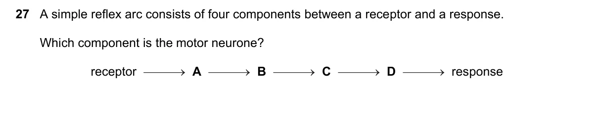 Question 27, June 2022, 0610 Paper 13