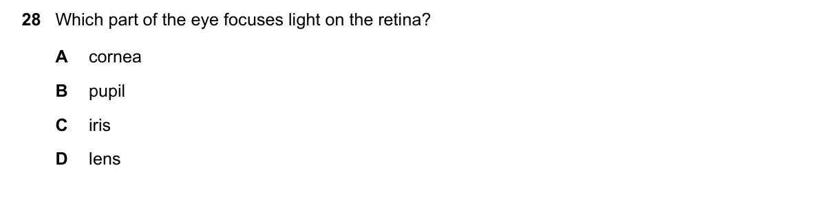 Question 28, June 2022, 0610 Paper 13